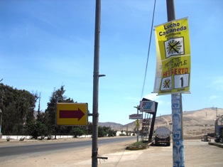 posteselectorales